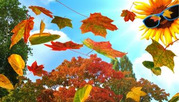 En daar is weer een nieuwe #pendelpost mijn heen-en-weer schrijven met <a href="/ingridwittert/">Ingrid Schouten🇮🇹🇳🇱</a> Deze keer over Indian Summer, olijven plukken, het echte werk en meer... ingridschouten.nl/pendelpost/#in…