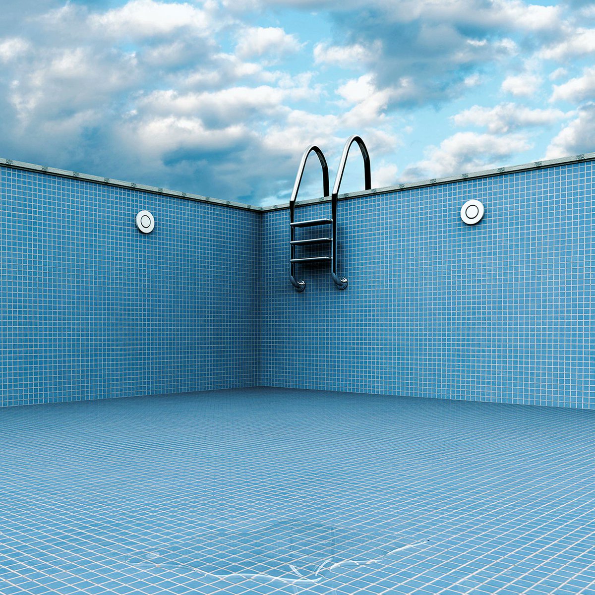 The Zebra Project tweet media