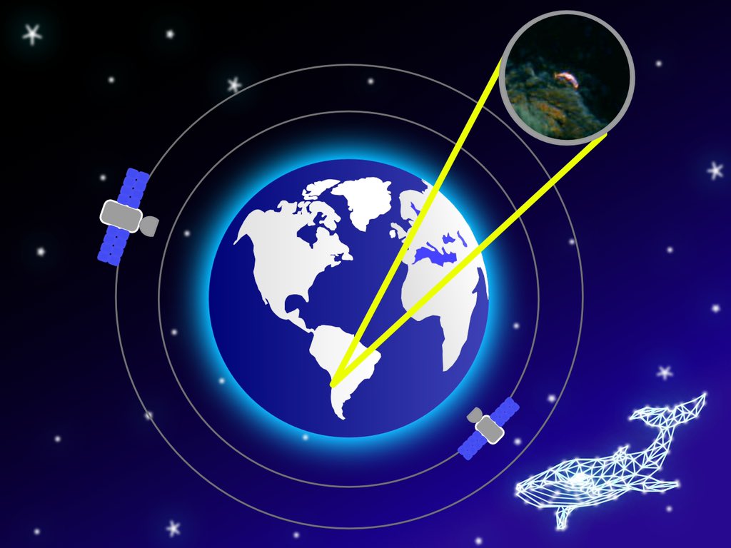 #UKEO2022 let’s talk whale strandings from space 🐋

Poster: today, 13:00-14:30 John Eggleston Suite

I’m on the SDA 🚢 spotting live whales, so join @PeterTFretwell for ‘whaley’ exciting chat and do get in touch!

<a href="/NCEOscience/">NERC NCEO</a> <a href="/CEOI_Space/">CEOI</a> <a href="/RSPSoc/">RSPSoc</a> <a href="/SatAppsCatapult/">Satellite Applications Catapult</a> <a href="/spacecentre/">National Space Centre</a>