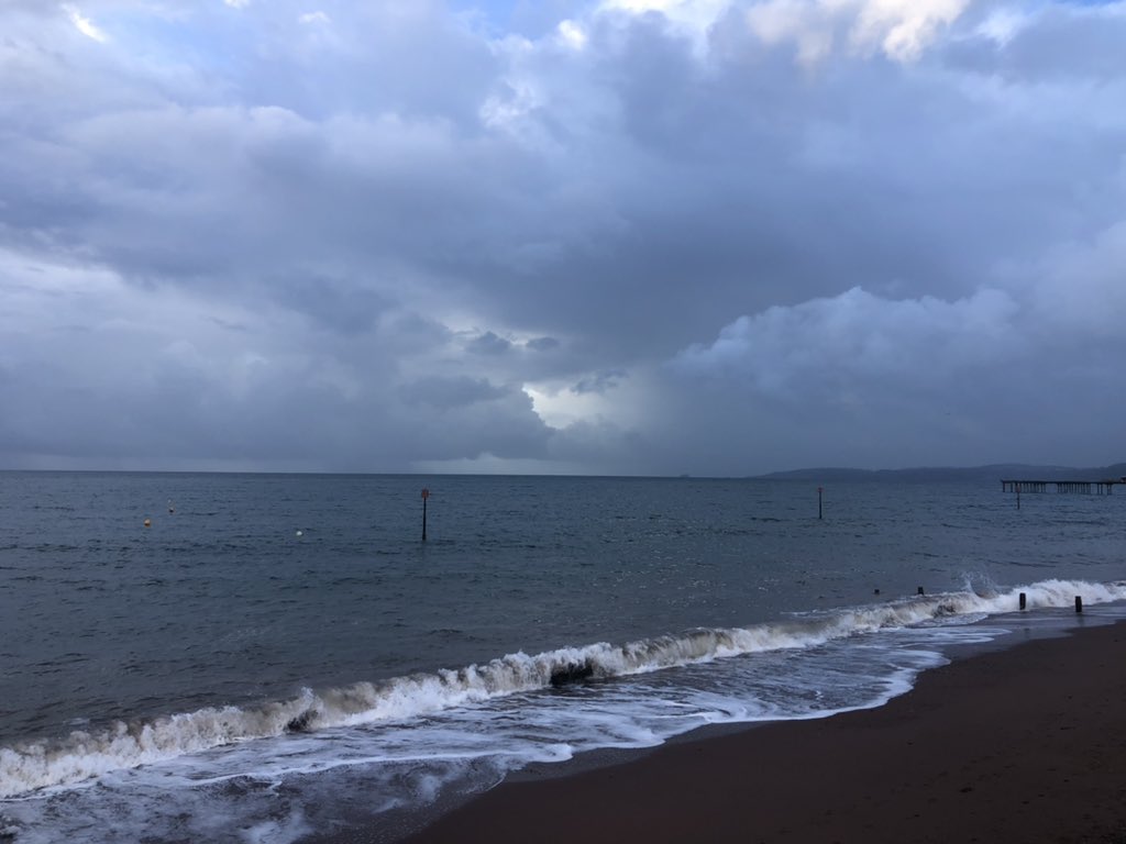 Mandy Pearse tweet media