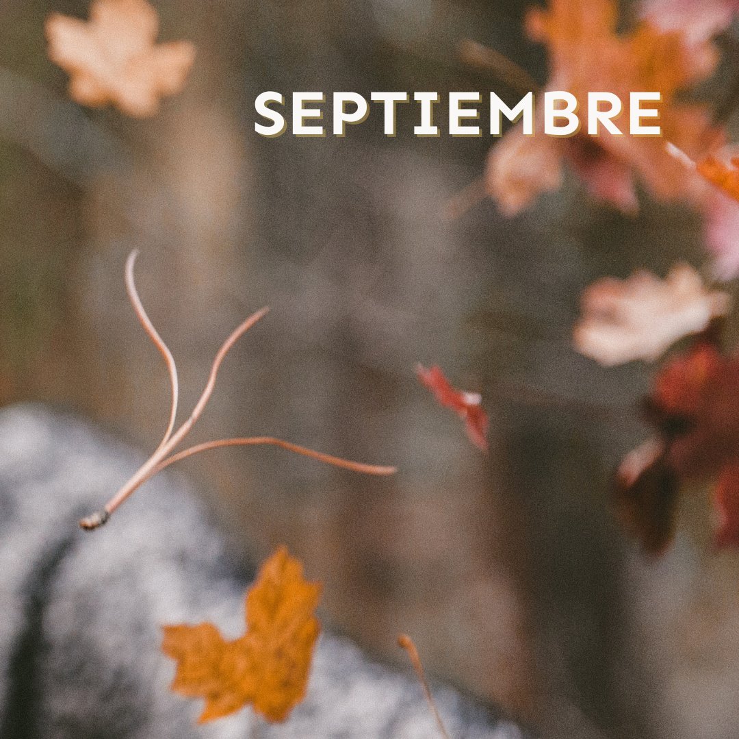 "Bienvenido septiembre, que nos da la oportunidad de volver a empezar" - Mes de reencuentros y celebraciones 🍂
.
.
#socialmedia #suiteagencia #comunicion #comunicarconestilo #lifestyle #autumn