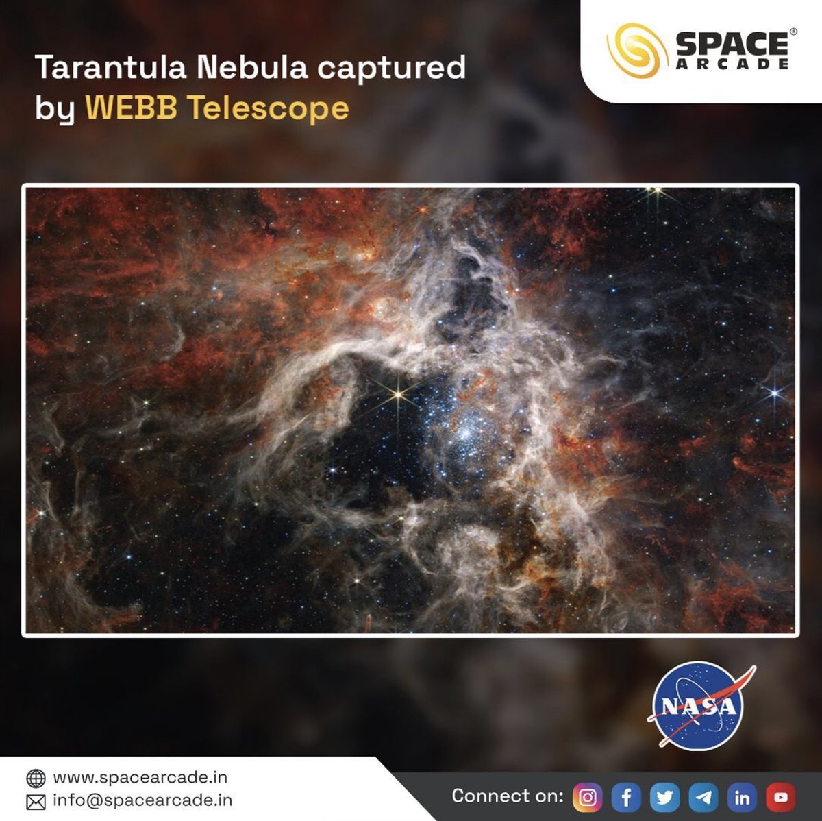 spacearcadeind's tweet photo. An epic tale📔of cosmic creation once took place in space🌌and time 🕰: A stellar nursery known as 30 Doradus was discovered by NASA's James Webb Space Telescope to contain thousands of newborn stars ✨that have never before been observed.

#PhantomGalaxy #M74 #Webb #MIRI #Hubble https://t.co/EAf5jbDpYw
