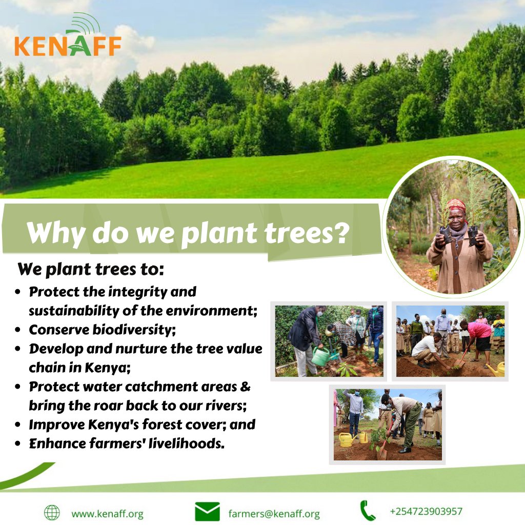 KENAFF Farm Forestry &amp; Afforestation Programme clarion call requires planting the right tree in the right place for the right reason.
#FarmForestry
#TreeValueChain