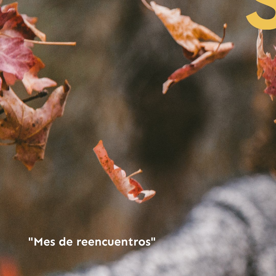 "Bienvenido septiembre, que nos da la oportunidad de volver a empezar" - Mes de reencuentros y celebraciones 🍂
.
.
#socialmedia #suiteagencia #comunicion #comunicarconestilo #lifestyle #autumn