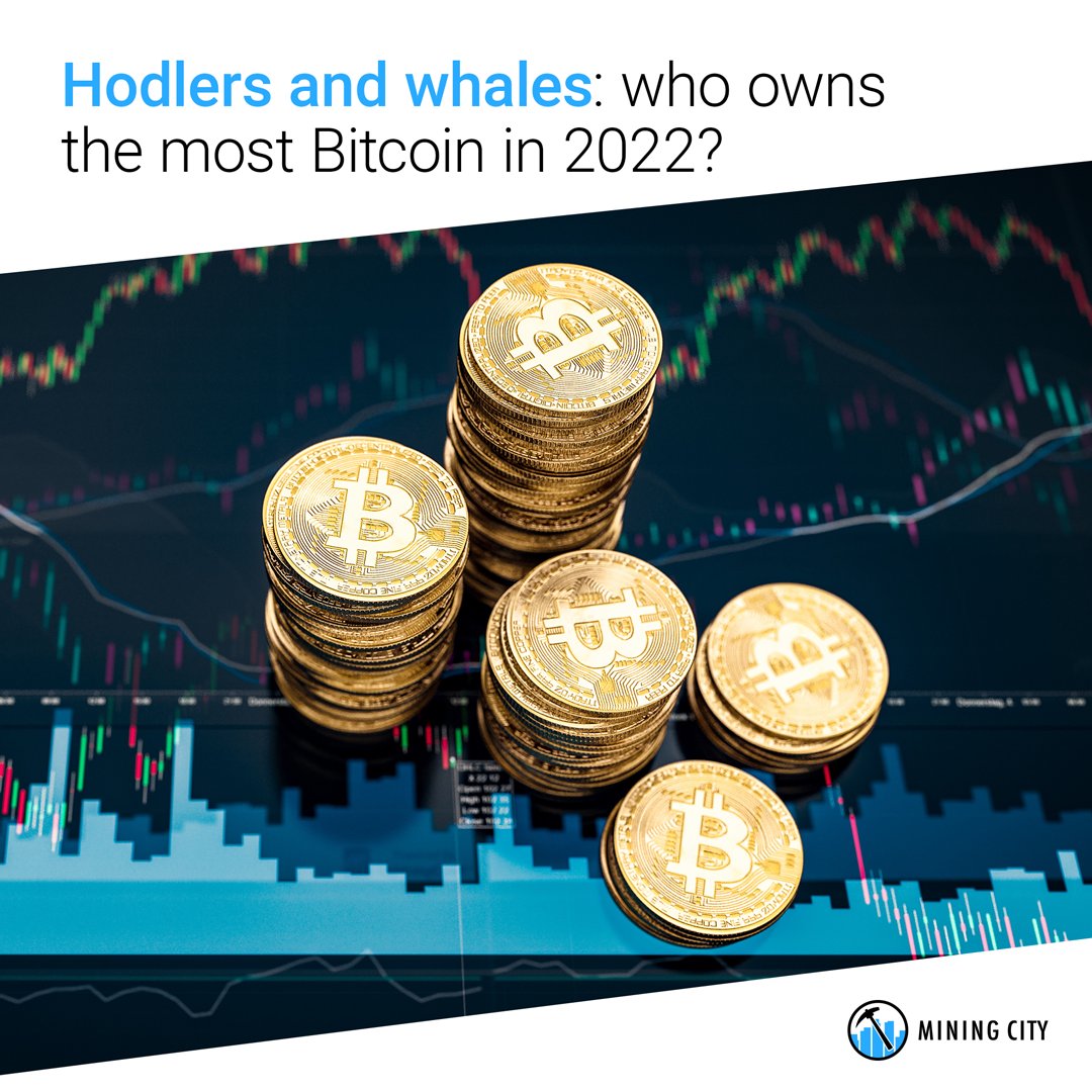 Mining City tweet media