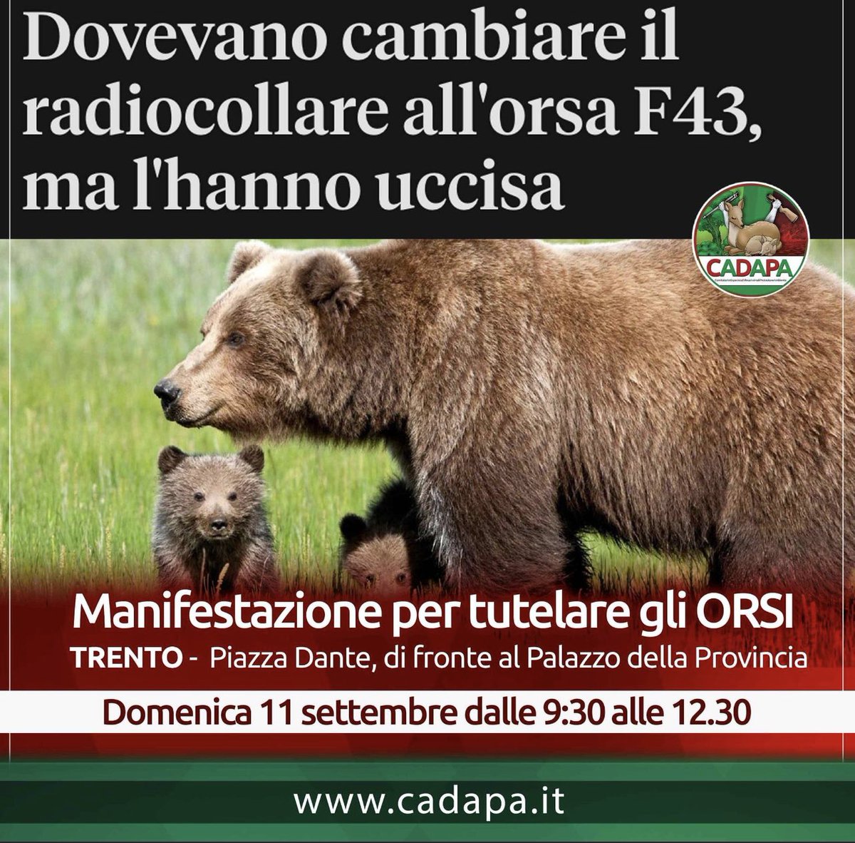 IL TRENTINO NON É TERRA PER gli ORSI !

Esprimiamo sdegno per la morte
di #F43 una giovane #orsa di 4
anni che, sebbene avesse
confidenza con i centri abitati,
non aveva mai creato danno
a persone.
<a href="/MaurizioFugatti/">Maurizio Fugatti</a> Chiediamo vengano chiarite
quanto prima le cause della sua
morte!