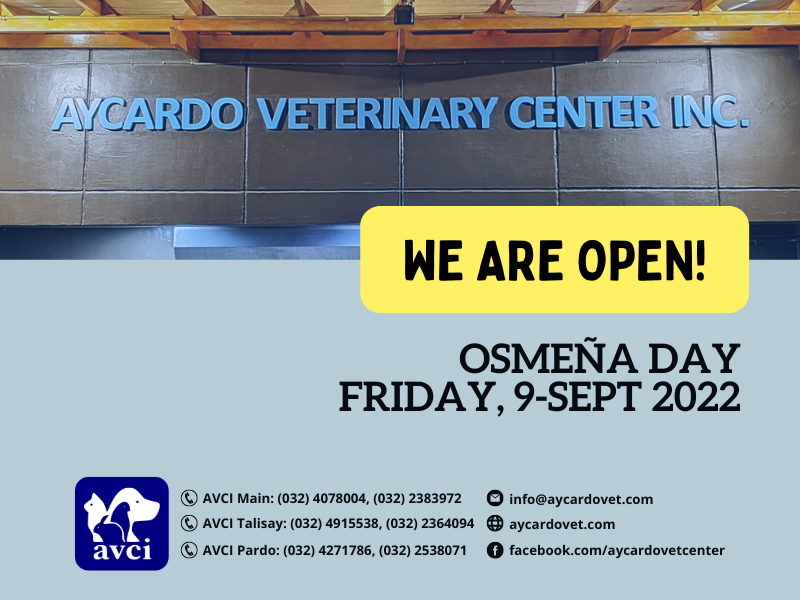 avcivet's tweet photo. All doors are open tomorrow. https://t.co/ti8Ppxskl3