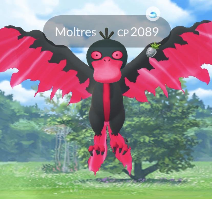 SiteEternia's tweet photo. Mon psy : Sulfukwak de Galar n'existe pas, il ne peut pas te faire de mal

Sulfukwak de Galar : https://t.co/n7my7wO31J