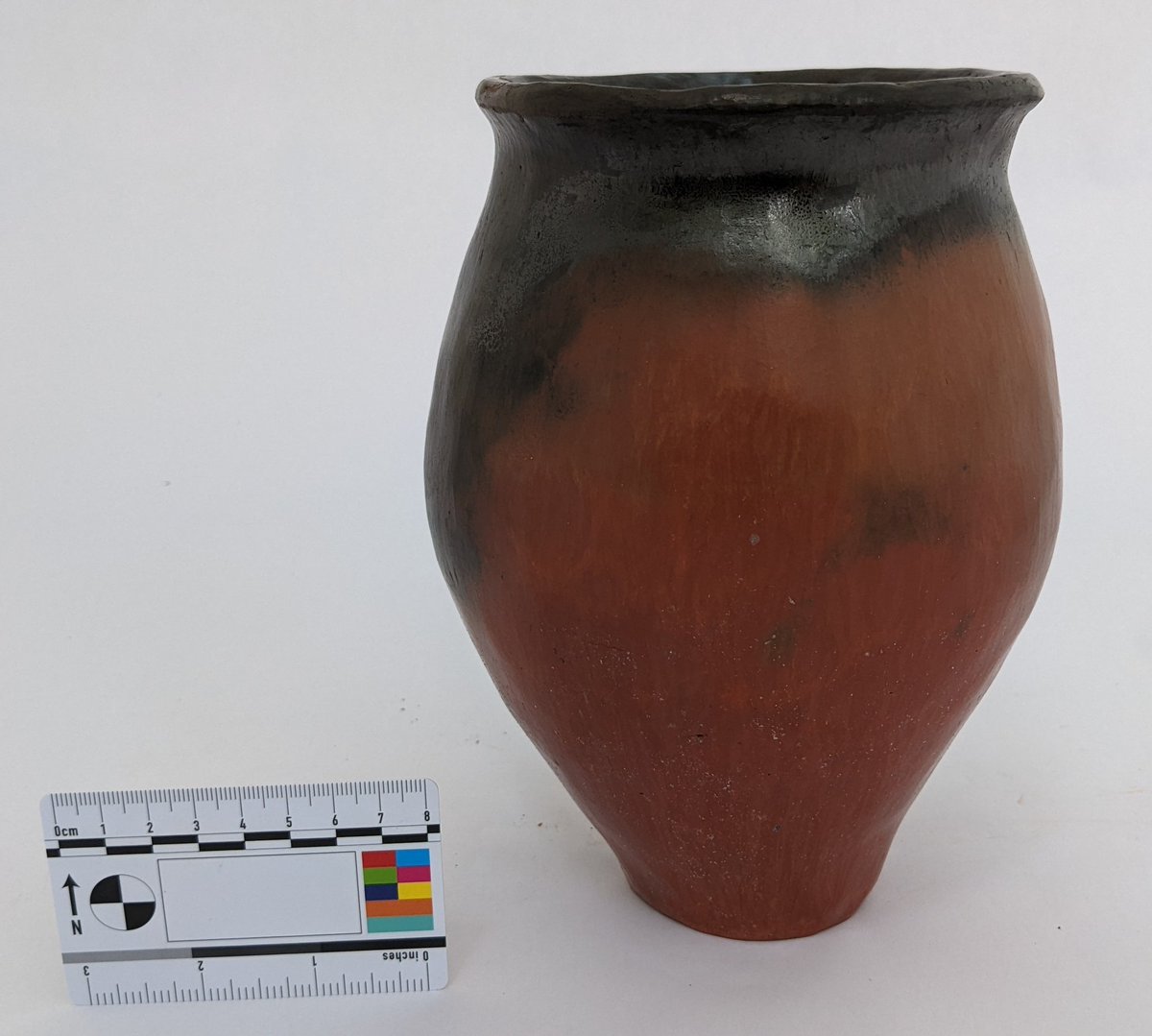 Meredith Stewart tweet media