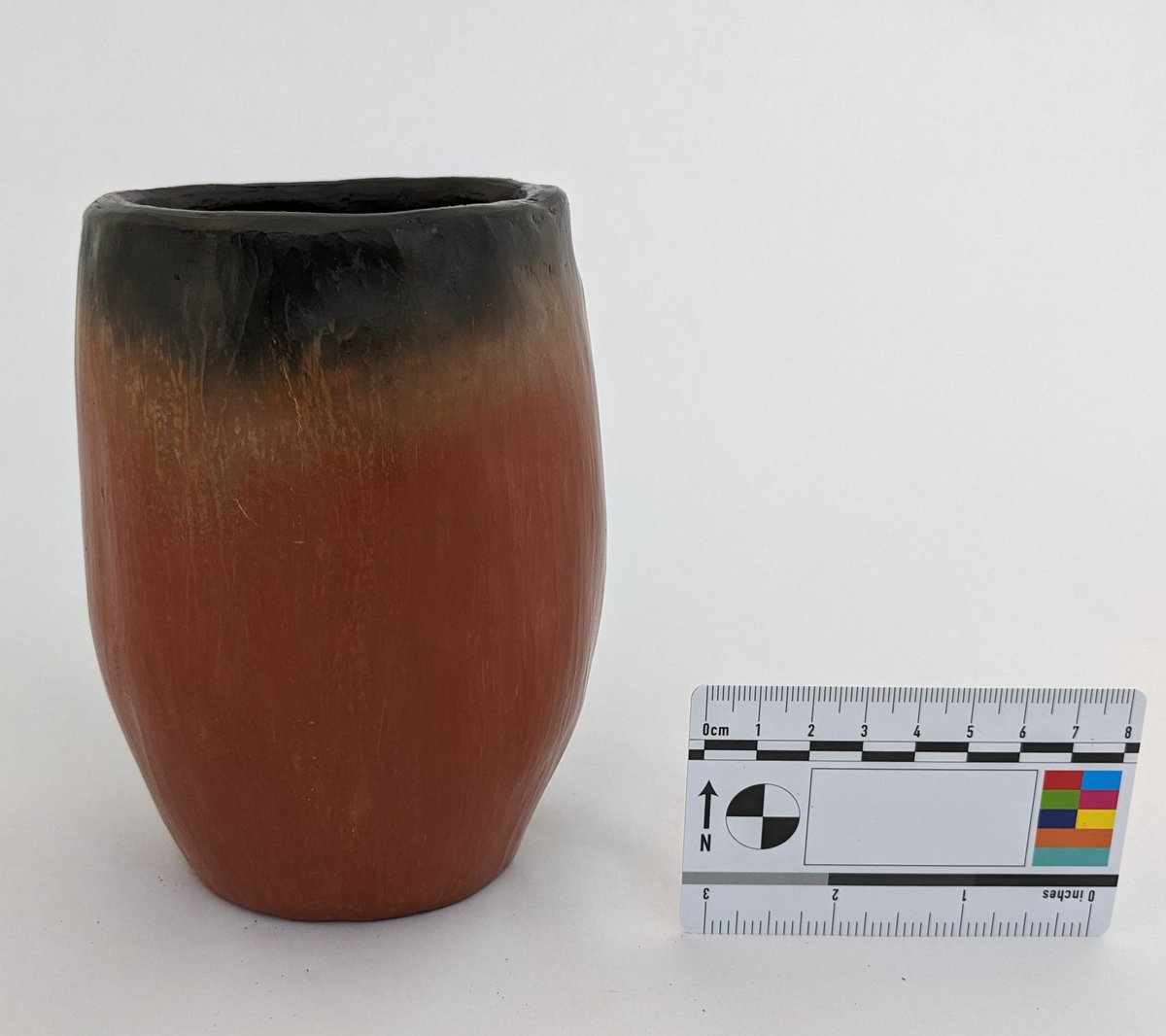 Meredith Stewart tweet media