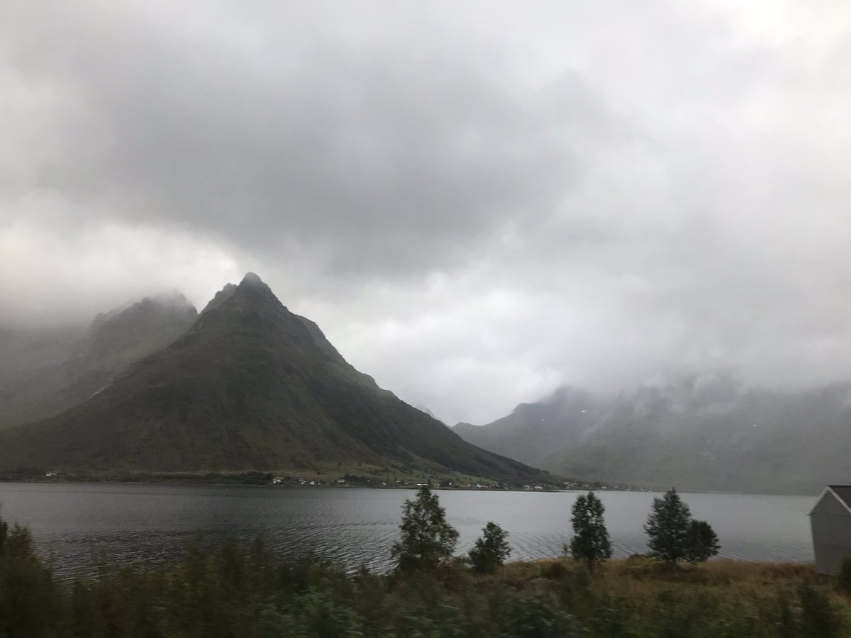 MerjaSainio's tweet photo. Elämyksellinen Maatilan Pellervon lukijamatka 4.-8.9.2022 #Lofootit #Tromssa #Narvik Urhea uimari #Skjelavesistö #Pohjoinenjäämeri https://t.co/FsH7Nq9LO1