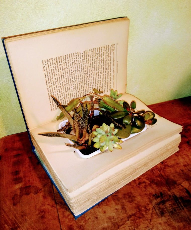libriperduti1's tweet photo. Dalla serie: "Curiosità attorno ai libri": riciclo di volumi destinati al macero.
#macero #libri #curiosita https://t.co/nZ1xcHww0K
