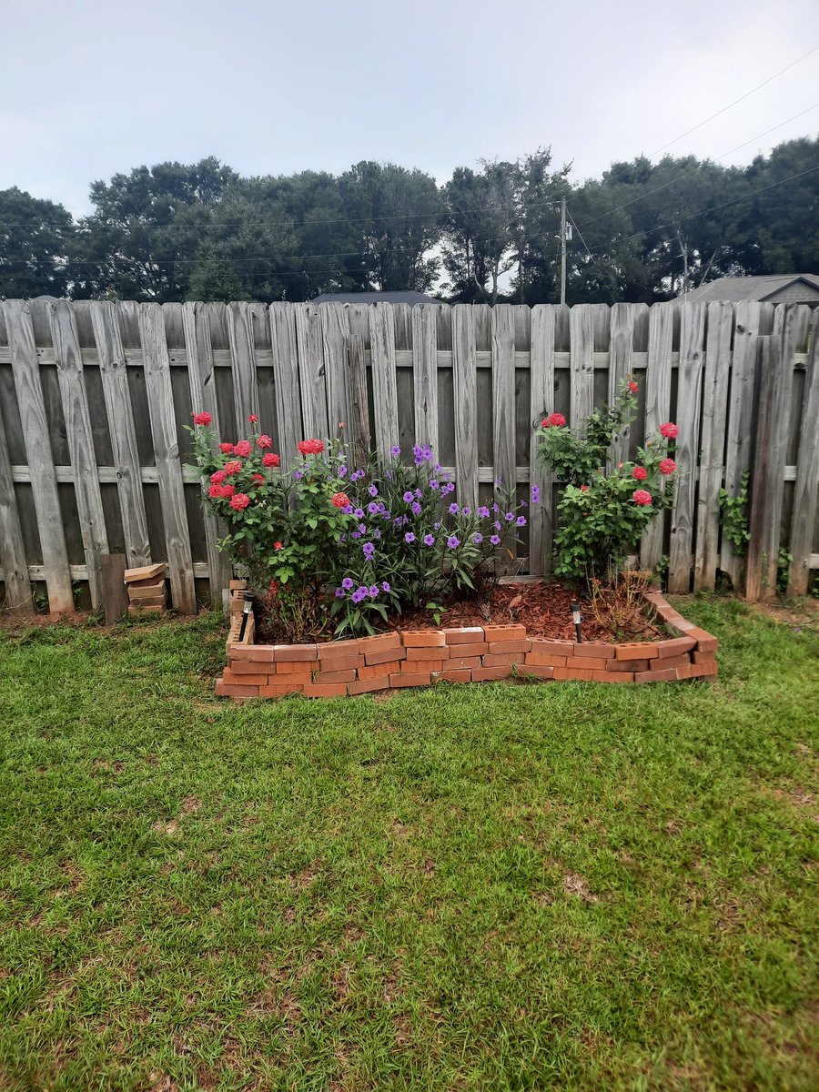 Stanley Davis (@stanley51995770) on Twitter photo 