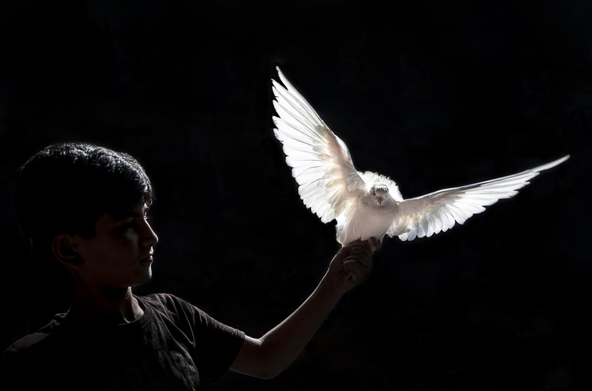 mehmetceti's tweet image. Good morning

Kuscu Child
1/1
20 XTZ

#Tez #tezoscollectors #tezart #cleannft #tezos #NFTCommunity #NFTs #nftart 

objkt.com/asset/KT1KxqxP…