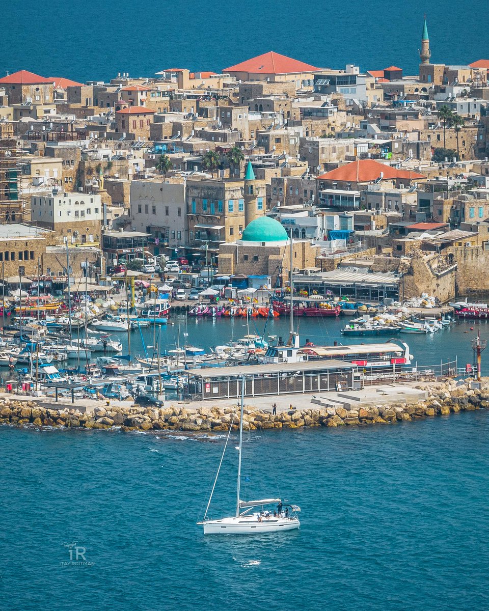 Israele in Italia tweet media