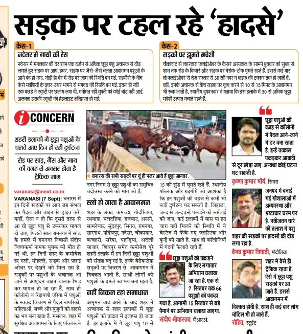 pavanmaurya17's tweet image. #Varanasinews 🚥 #traffic #animalsonroad @varanasitraffic @AdlspDinesh @nagarnigamvns @inextlive