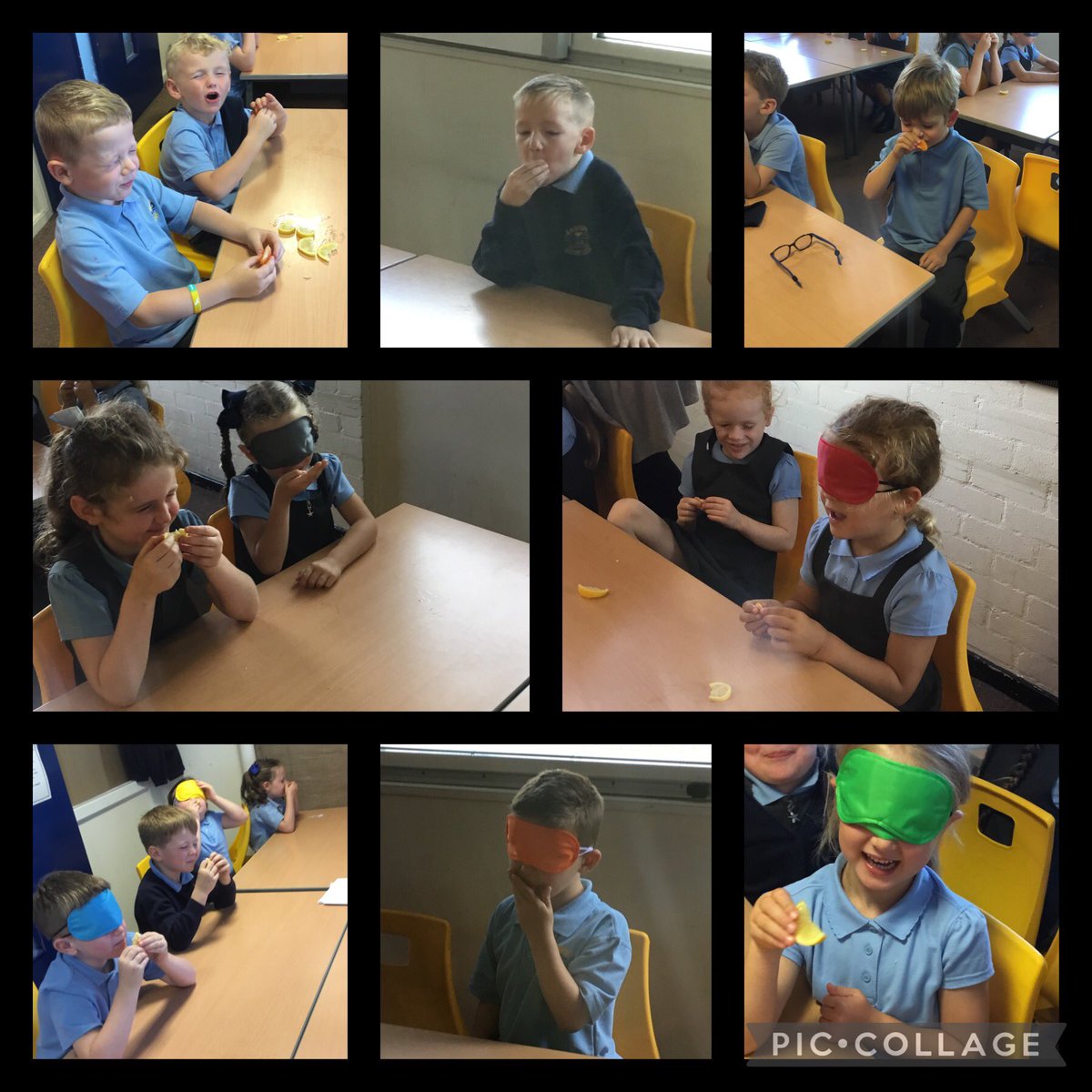 Mrs Gill tweet media