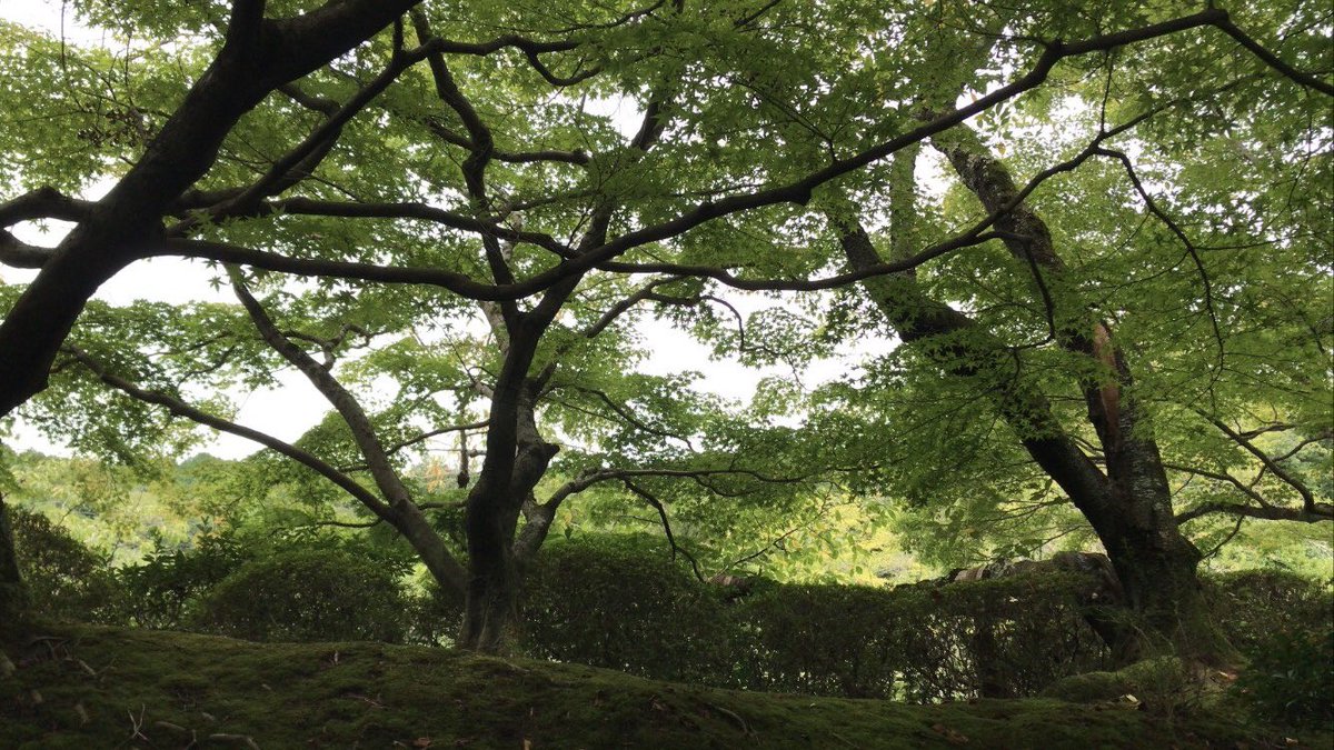 今日
雨が降る前に行ってきました
ここからあとお風呂。 