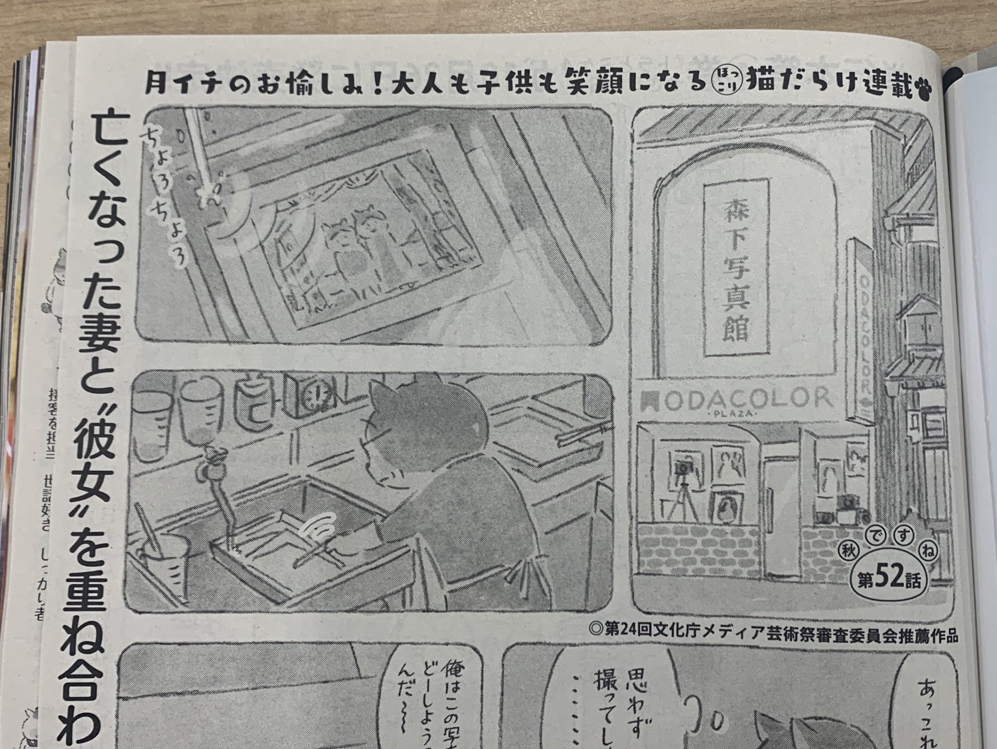トラとミケ Twitter Search Twitter
