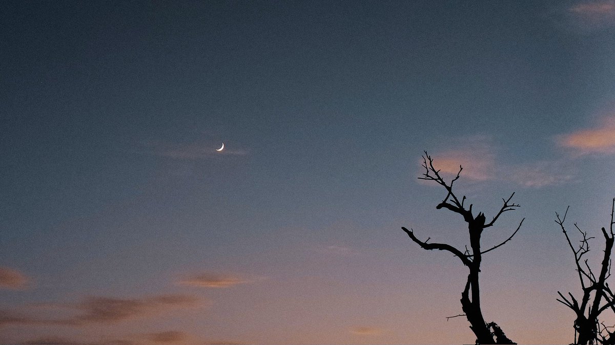 Ipzala19's tweet photo. NightMode on #OPPOReno8Series #nightinspired #oppoambassadors https://t.co/OS8yyorSgP
