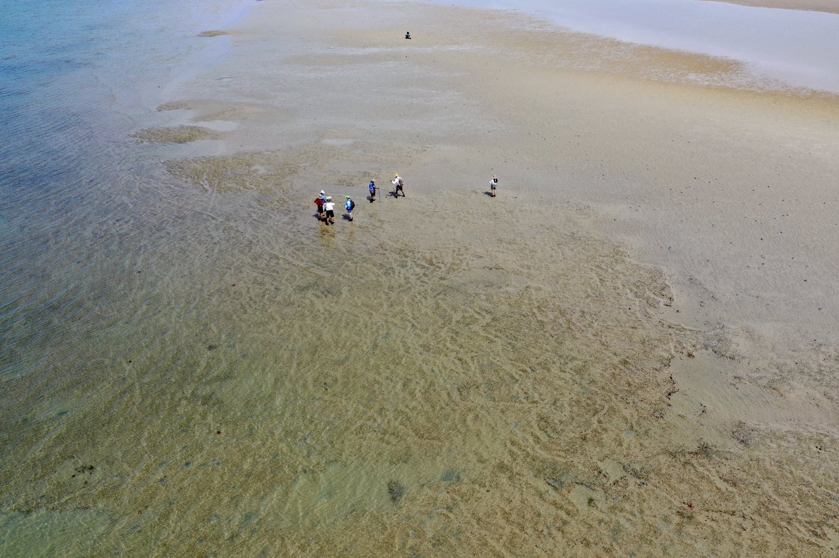 Lloyd Shepherd tweet media