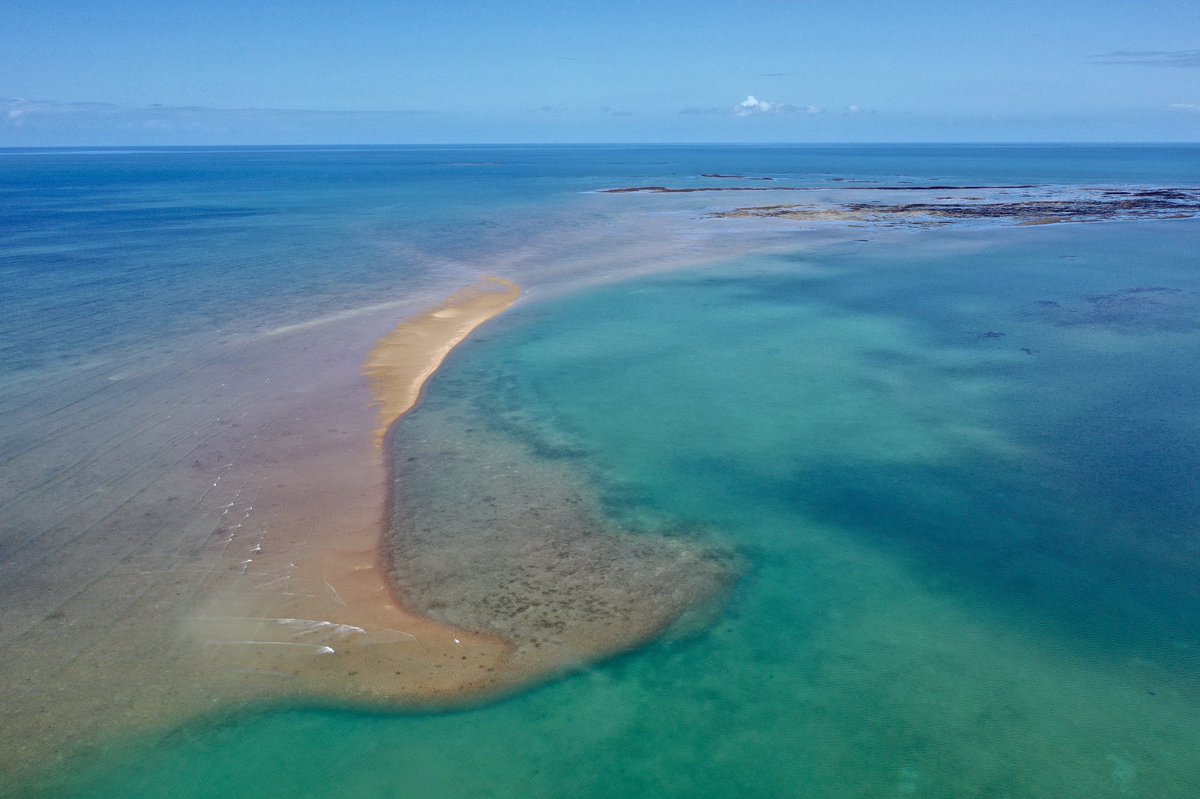 Lloyd Shepherd tweet media