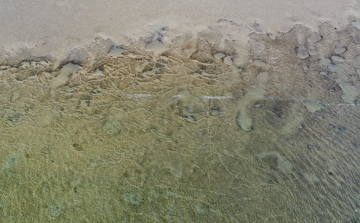 Lloyd Shepherd tweet media