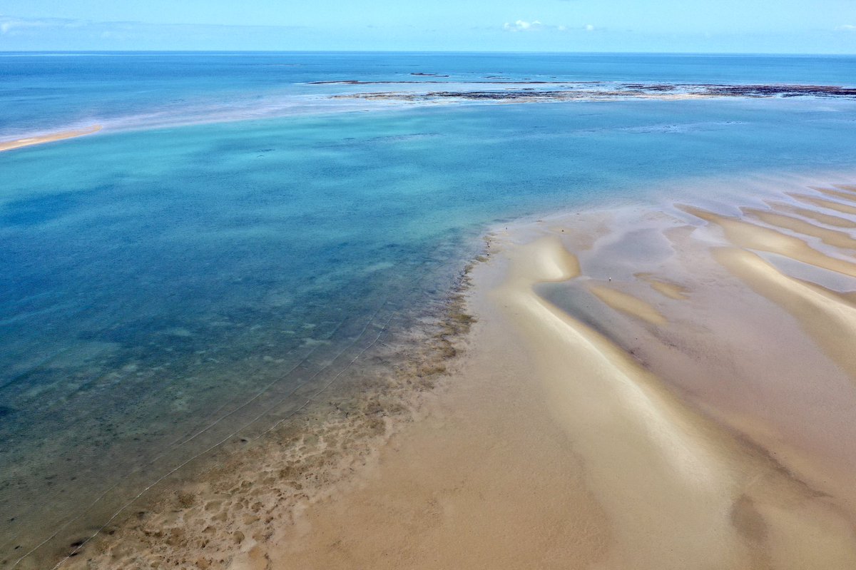 Lloyd Shepherd tweet media