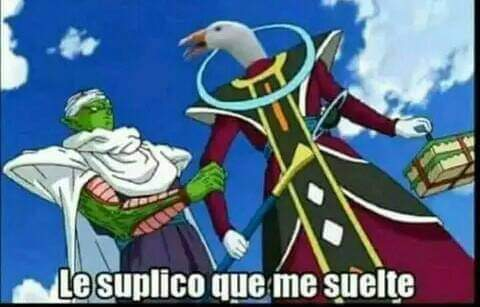 Michu 🐱 tweet media