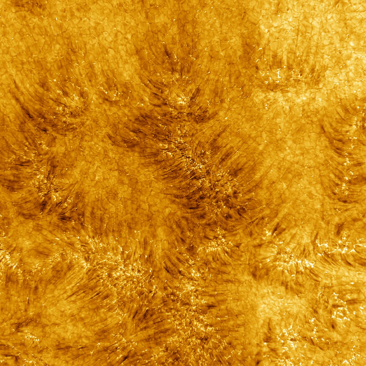EricLagadec's tweet photo. L'image du jour nous montre une "petite" portion du Soleil de 82500 km, soit un peu plus de 6 fois le diamètre de la Terre et 1/17 de fois celui du Soleil (Le soleil est ~100 fois plus gros que la Terre). On est à 150 millions de km.. et on voit des détails de 18km de large! https://t.co/1udYd2qGFP