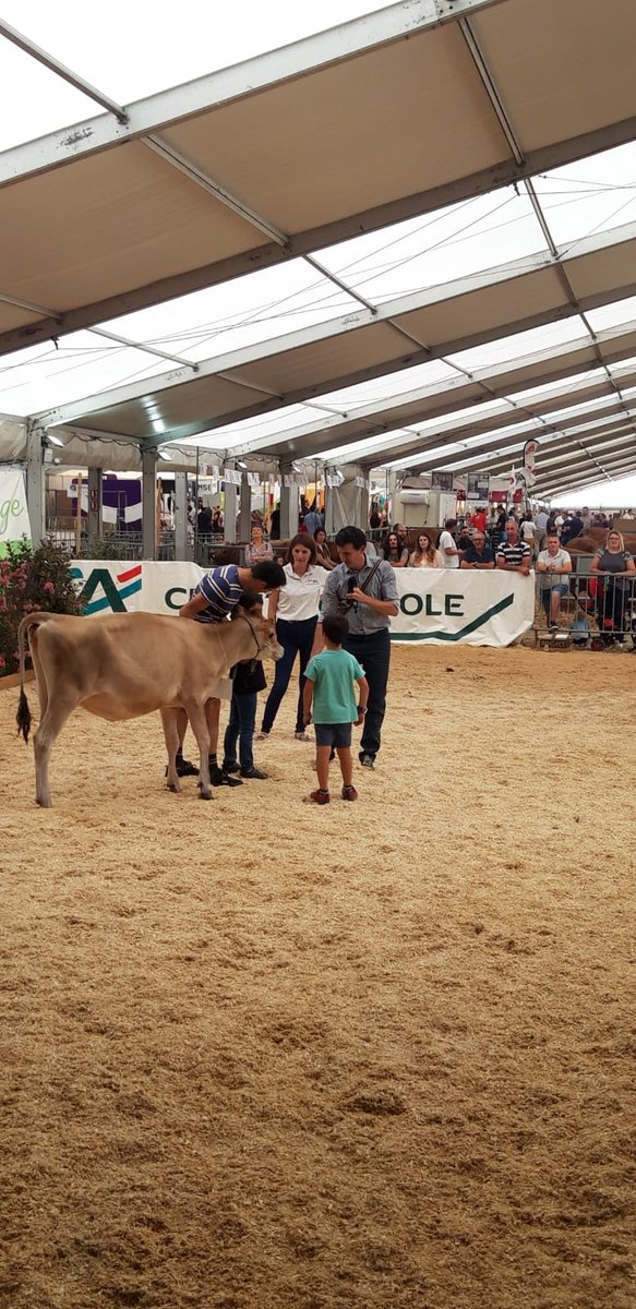 JeunesAgri49's tweet photo. 🚩C’était le rdv clé de nos agriculteurs, l’ouverture de la 36ème édition de Festi’Elevage. 
Après 2 ans en stand-by, plus de 150 exposants, 600 animaux étaient présents à la foire le weekend dernier.

👉​ Merci 👏🏻 aux @JChemille pour leur présence et leur investissement🍻😉 https://t.co/ci33AYZRUY