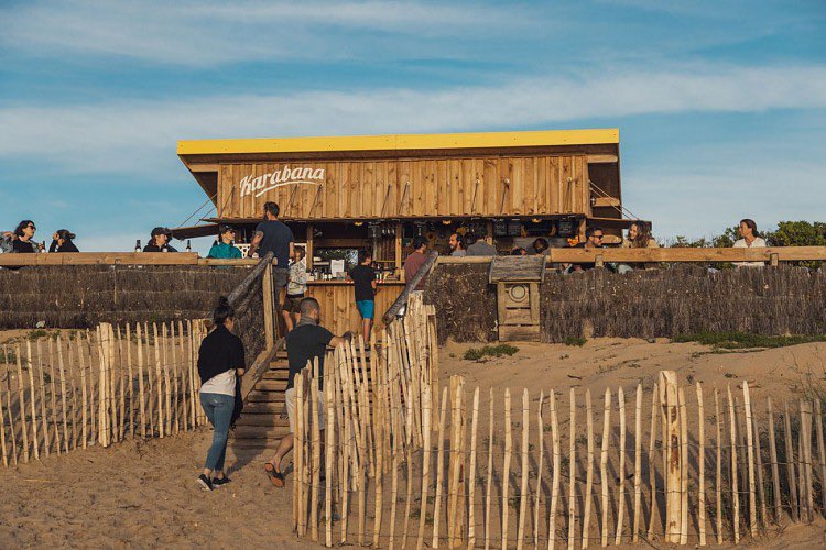 Happy Dev tweet media