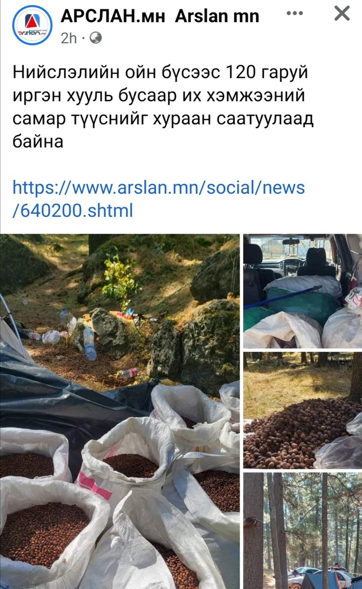 Ebeg_05's tweet photo. Түүсний дараа хураах нь ашигтай. https://t.co/IHFQxnETdD