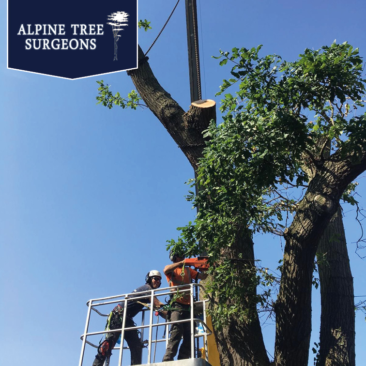 The Directory Group tweet media