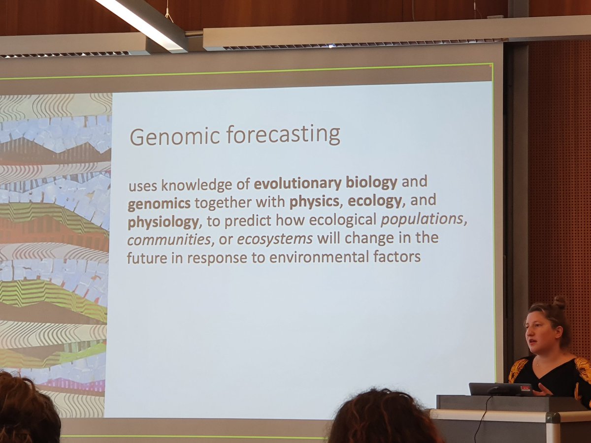 VickyHellekes's tweet photo. Great talk from @rebekahoomen from @UniOslo about genomic forecasting of biodiversity responses to environmental changes! #dergaverse #unicologne https://t.co/MAU5ZB4zqG