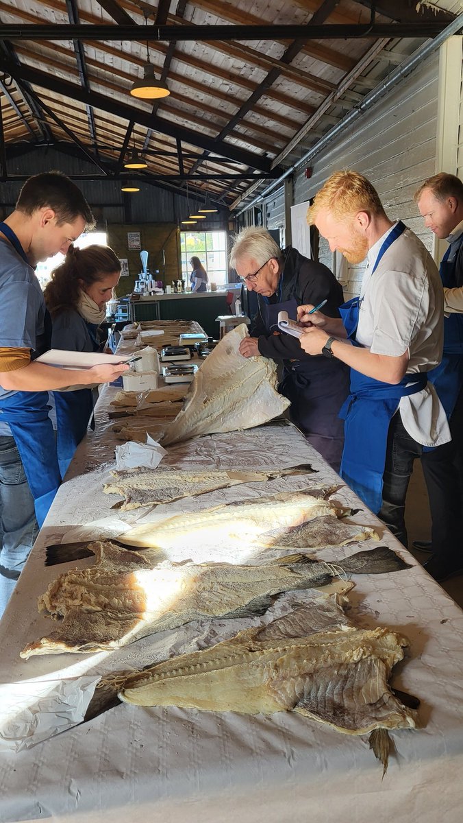 Dommerpanelet i gang med å vurdere Norges Beste Klippfisk 2022 - åtte kandidater! <a href="/rafisklaget/">Norges Råfisklag</a> <a href="/NFdep/">Nærings&fiskeridep</a> @Seafood_Norway <a href="/NorgesFiskarlag/">Norges Fiskarlag</a> <a href="/SjomatNorge/">SjomatNorge</a>