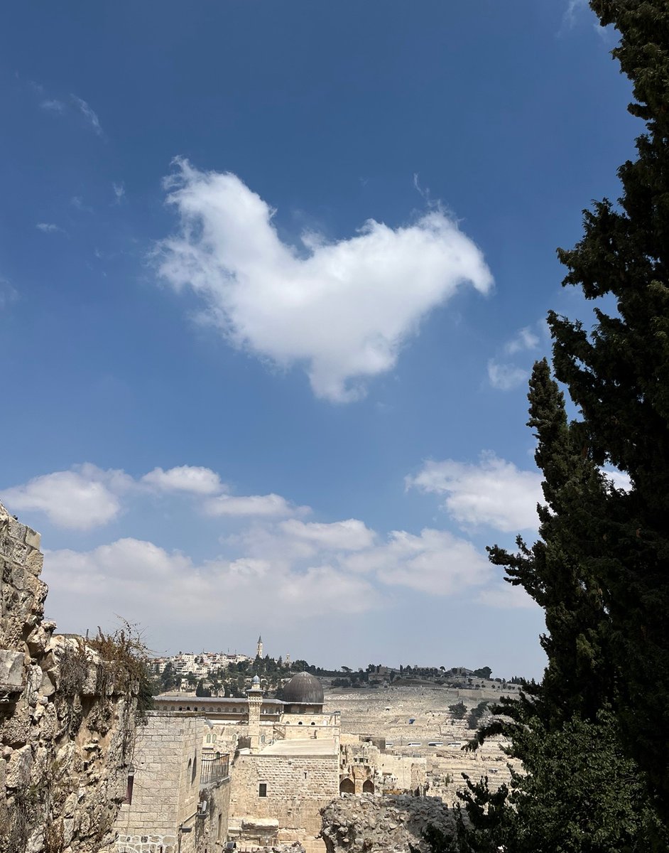 FlashGC55's tweet image. 