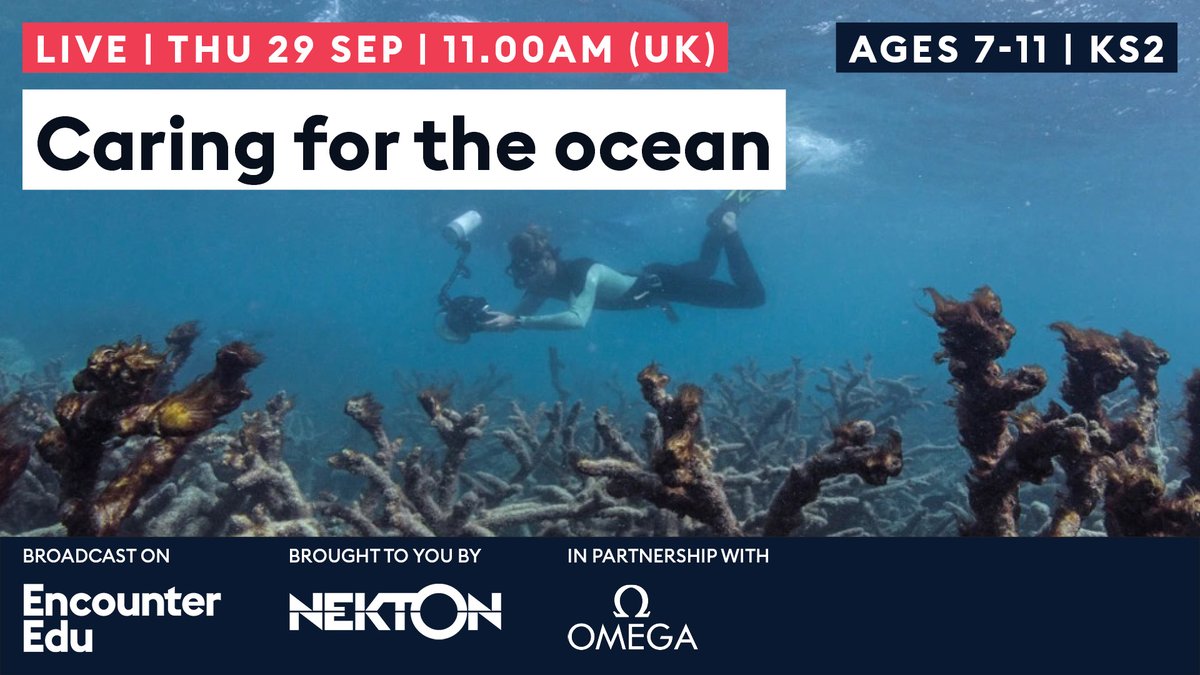 Join this live lesson on caring for the ocean on 29 September 2022 with <a href="/nektonmission/">Nekton</a> 

Book now 👇 
encounteredu.com/live-lessons/c…

#primaryscience #stem #livelessons