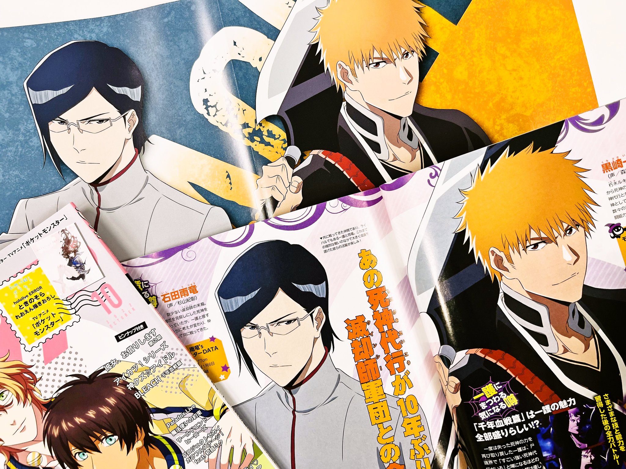 黒崎一心 まめ皿 BLEACH 巻頭歌骨牌 カルタ 特典付き ジャンプ