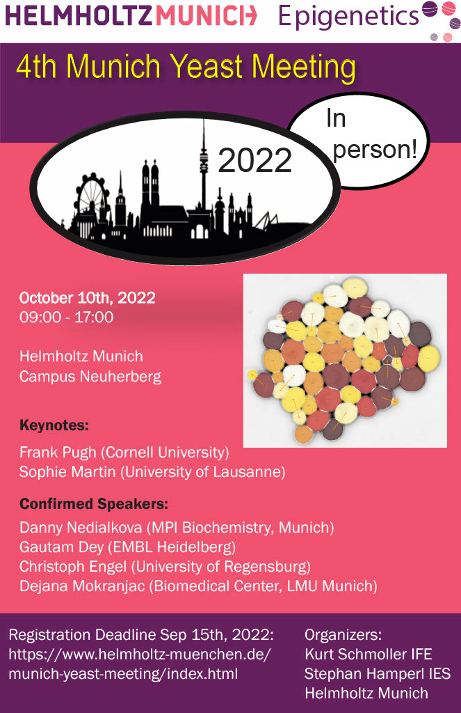 One week left to register and apply for a talk at the #MunichYeastMeeting 2022 @HelmholtzMunich October 10th helmholtz-munich.de/munich-yeast-m… @ThePughLab @SophieMartinLab @lab_engel @Dey_Gautam #MYM2022