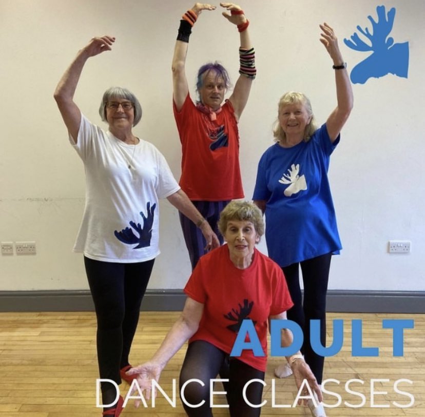 Blue Moose Dance tweet media