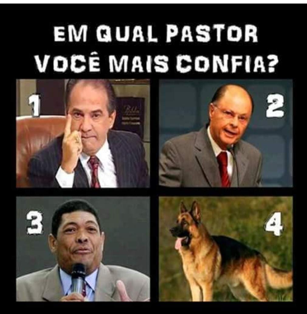 No Pastor Alemão ,claro!!