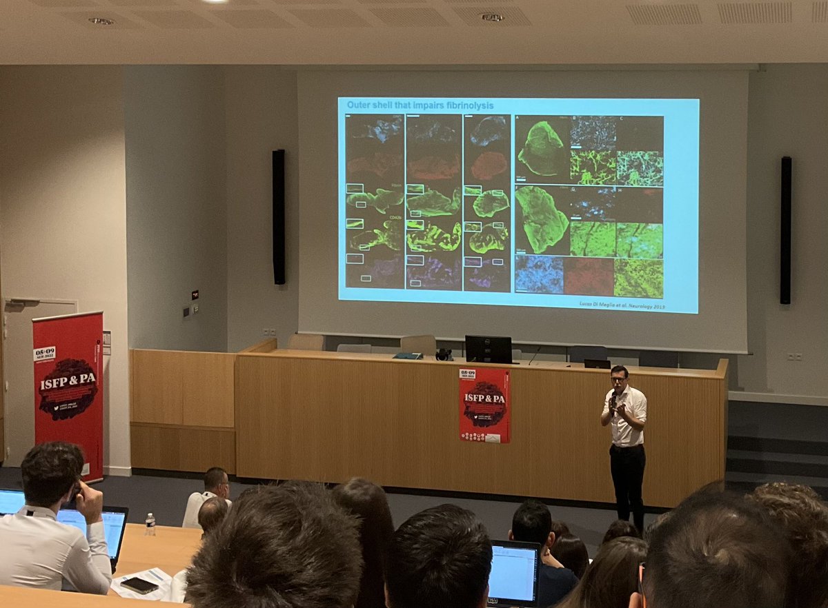 Gael Morrow (@gael_beverley) on Twitter photo Great talk this morning from Prof Simon De Meyer on stroke thrombi structure 🩸🔬 <a href="/ISFP_PA_2021/">ISFP & PA 2022</a> in #Caen Great talk this morning from Prof Simon De Meyer on stroke thrombi structure 🩸🔬 <a href="/ISFP_PA_2021/">ISFP & PA 2022</a> in #Caen