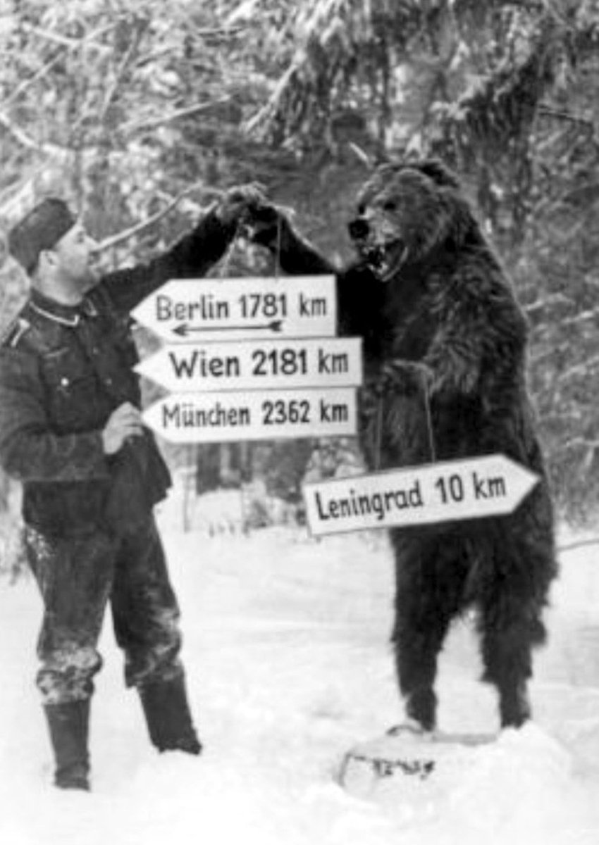 Letnapark's tweet photo. Die Stadt wird eingeschlossen, mit Artillerie zerschossen und ausgehungert. 
#NS-Befehl #LeningraderBlockade 8.9.1941 – 27.1.1944, 1 Mio. Hungertote 

Der Tod kam leise 
Daniil #Granin, Der Wahnsinn des Krieges https://t.co/yuNMw9qwRD @Aufbau_Verlag 

[Wehrmacht-Foto; totes Kind] https://t.co/Nr16HPoSqx