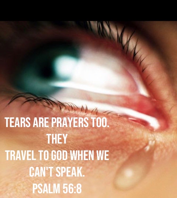 CheatingIsEvil's tweet image. 