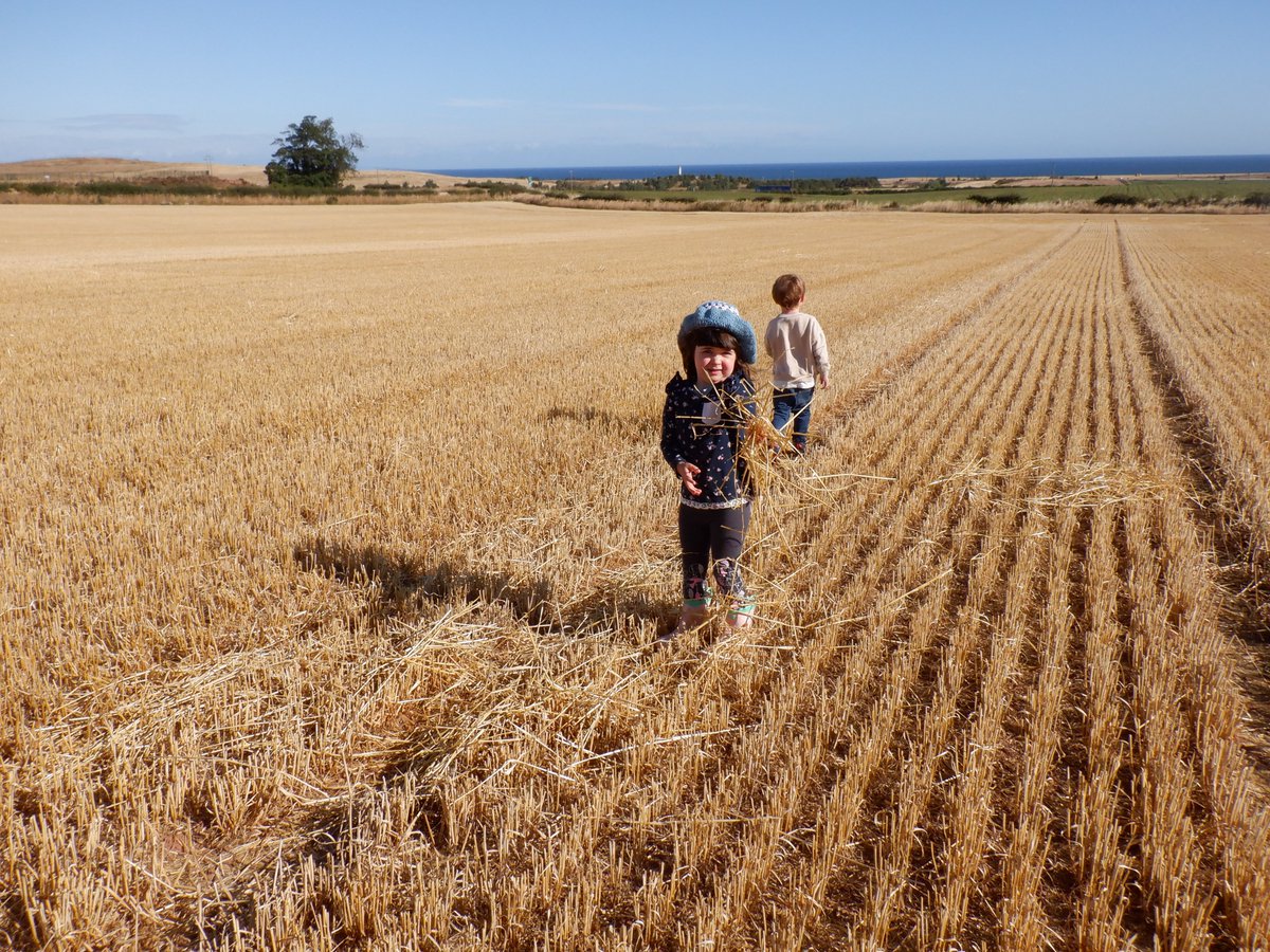 Innerwickprim's tweet photo. Blue sky, barley straw and the sun - add children running down tyre tracks and you have one happy moment.  Harvest time at Innerwick Early Years, we are blessed to have such a special natural environment just on our doorstep. #Outdoors #Outdoorplay #outdoorlearning https://t.co/bqRczTO1h8