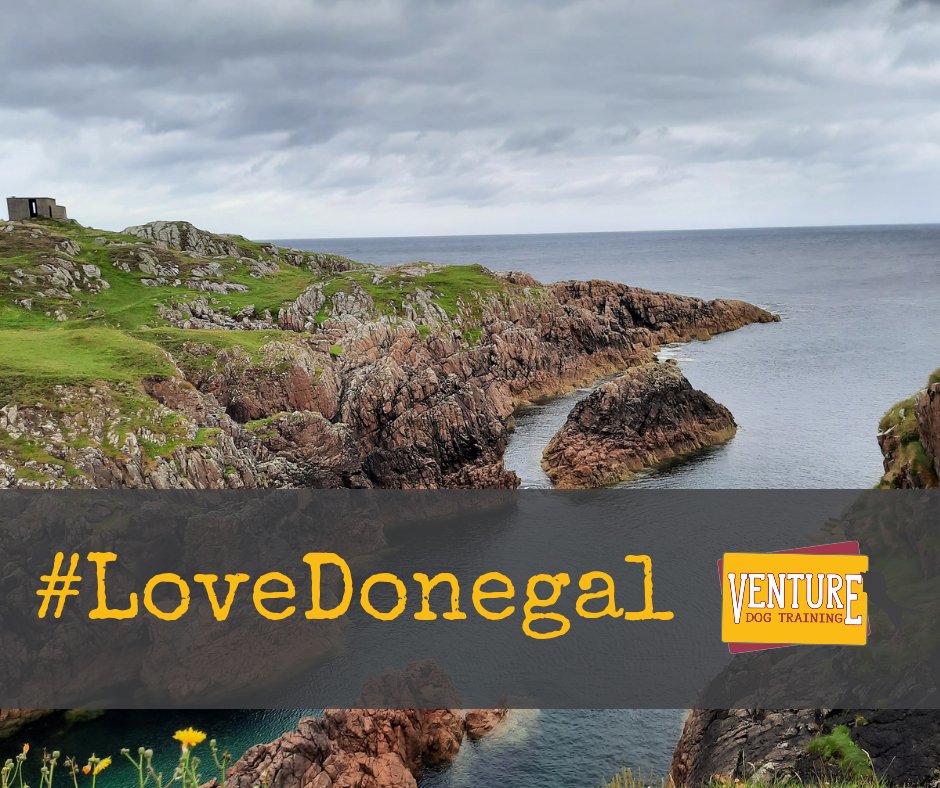 DogTrainingAndy's tweet photo. 8th September 2022 is @Donegal_ie #lovedonegal day.
As a dog trainer I see an awful lot of this beautiful county travelling to clients.
Where is your favourite part of Donegal?
#LoveDonegal #dúnnangall #Donegal #dogsofdonegal #donegaldogs #donegalireland https://t.co/uPM10dfQXS