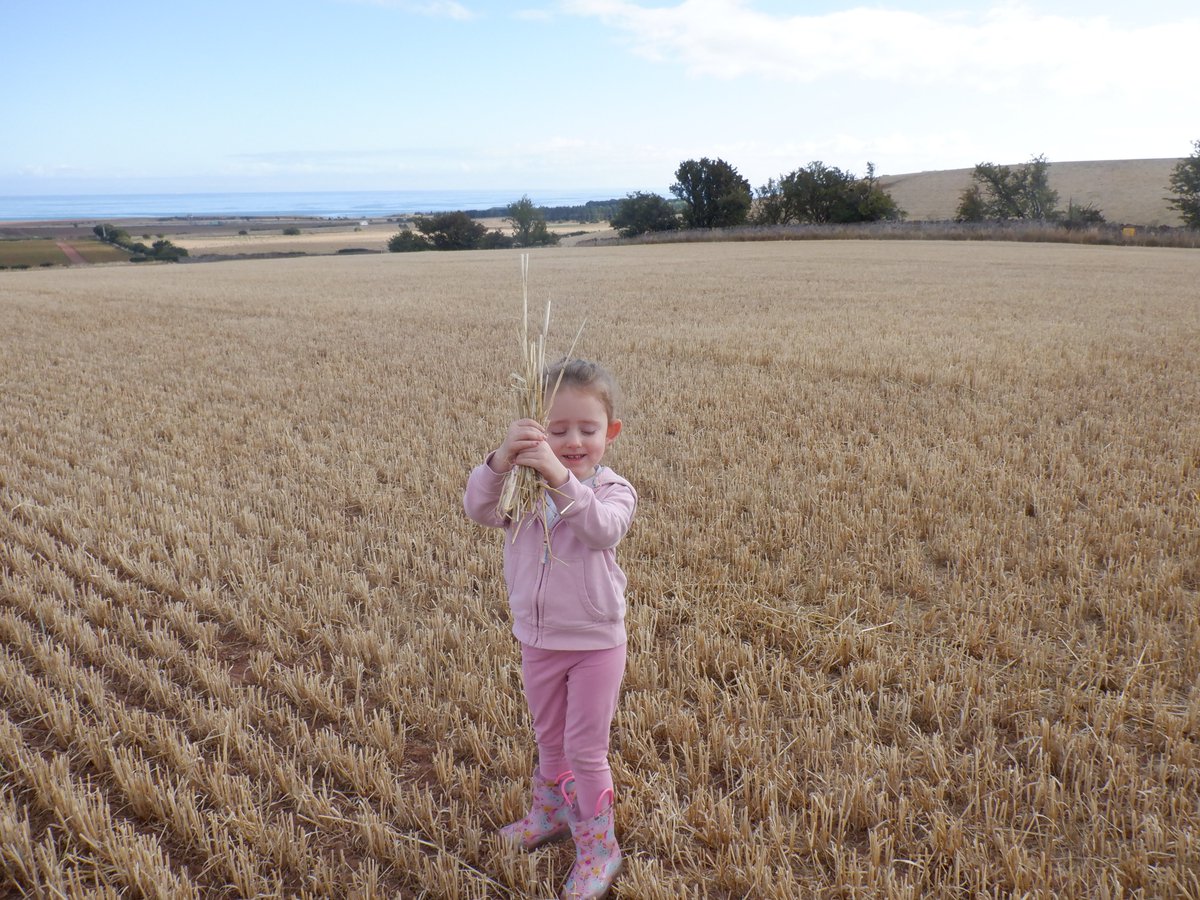 Innerwickprim's tweet photo. Blue sky, barley straw and the sun - add children running down tyre tracks and you have one happy moment.  Harvest time at Innerwick Early Years, we are blessed to have such a special natural environment just on our doorstep. #Outdoors #Outdoorplay #outdoorlearning https://t.co/bqRczTO1h8