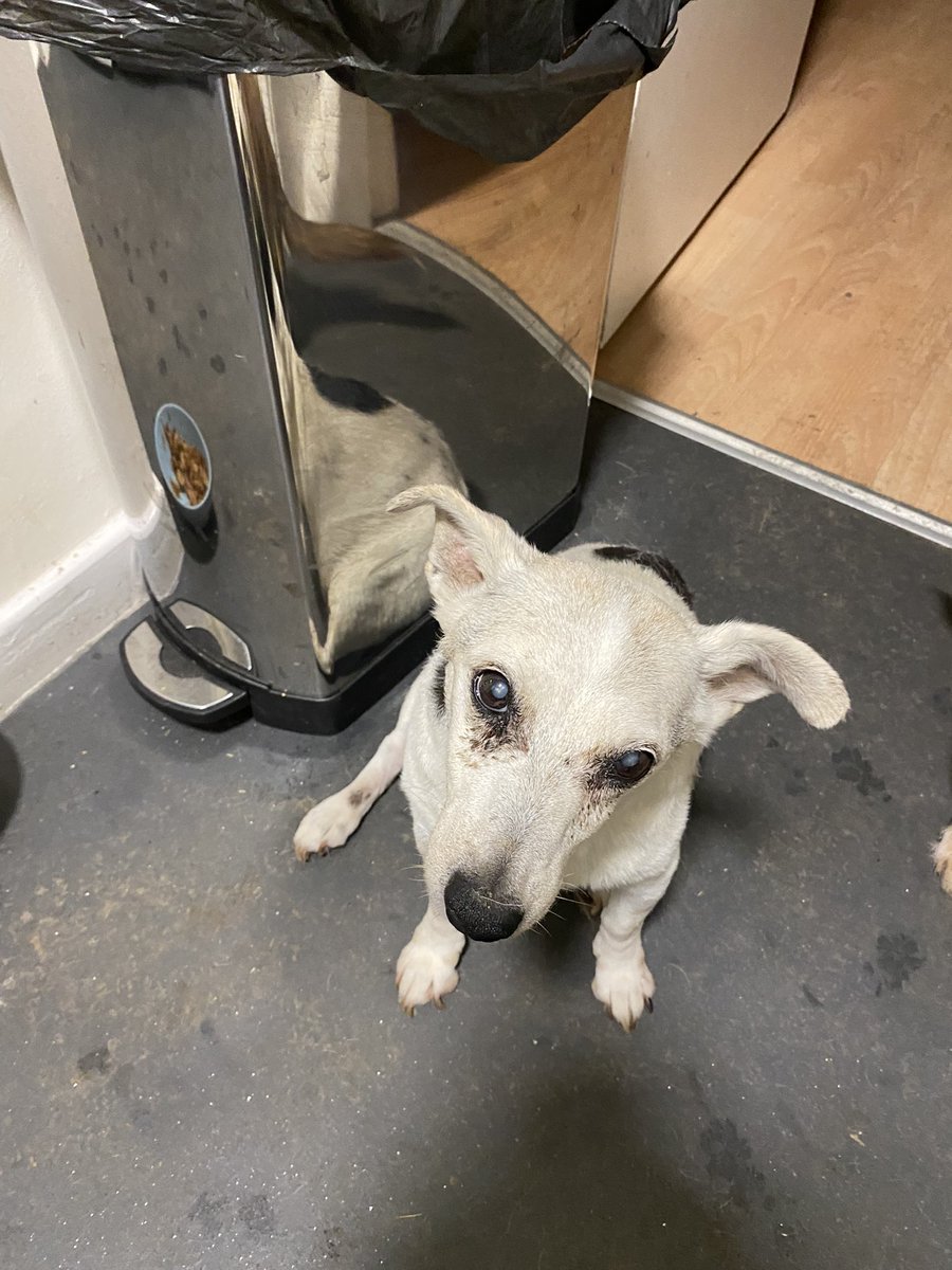 graham russell tweet media