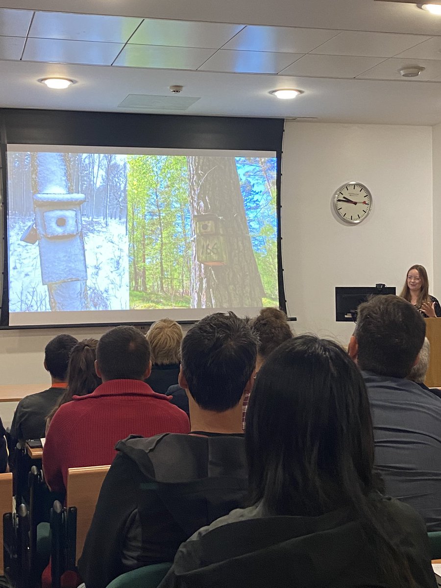 And now <a href="/KoosjeLamers/">Koosje Lamers</a> beginning her talk on using a common-garden experiment approach to assess the determinants of migratory connectivity